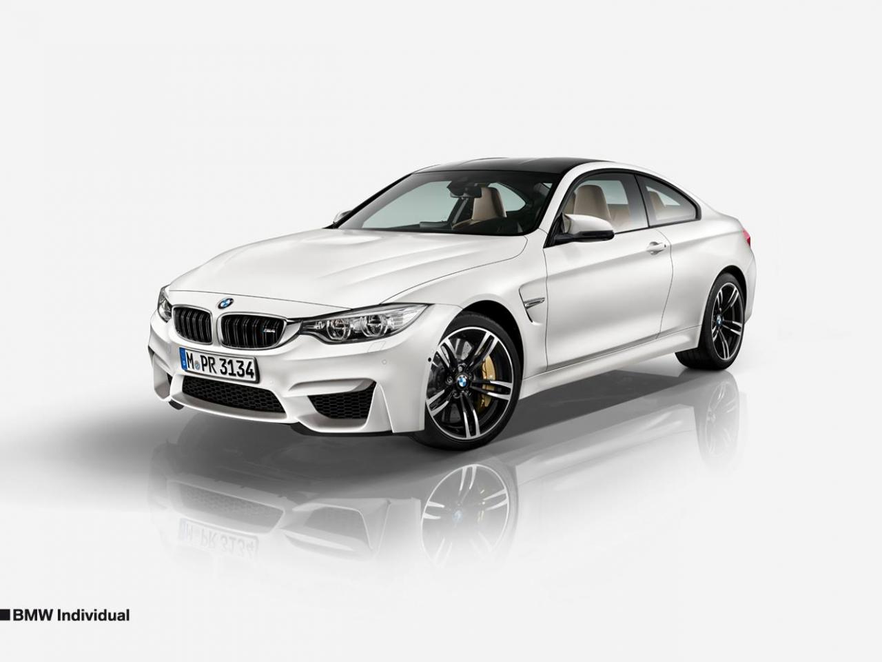 Programa para bmw
