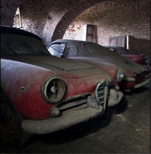 alfas abandonados 4