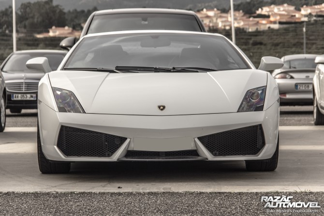 Gallardo (2)