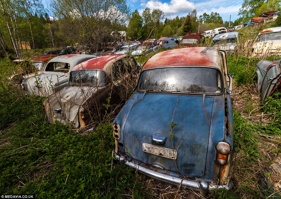 Carros abandonados em floresta em Bastnas, Suécia