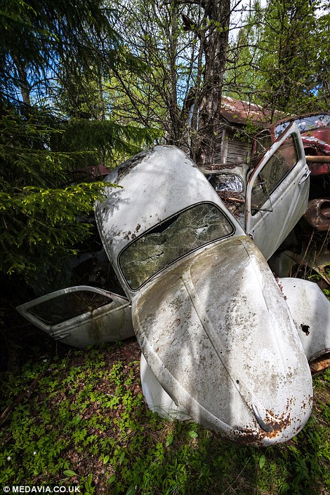 Carros abandonados em floresta em Bastnas, Suécia