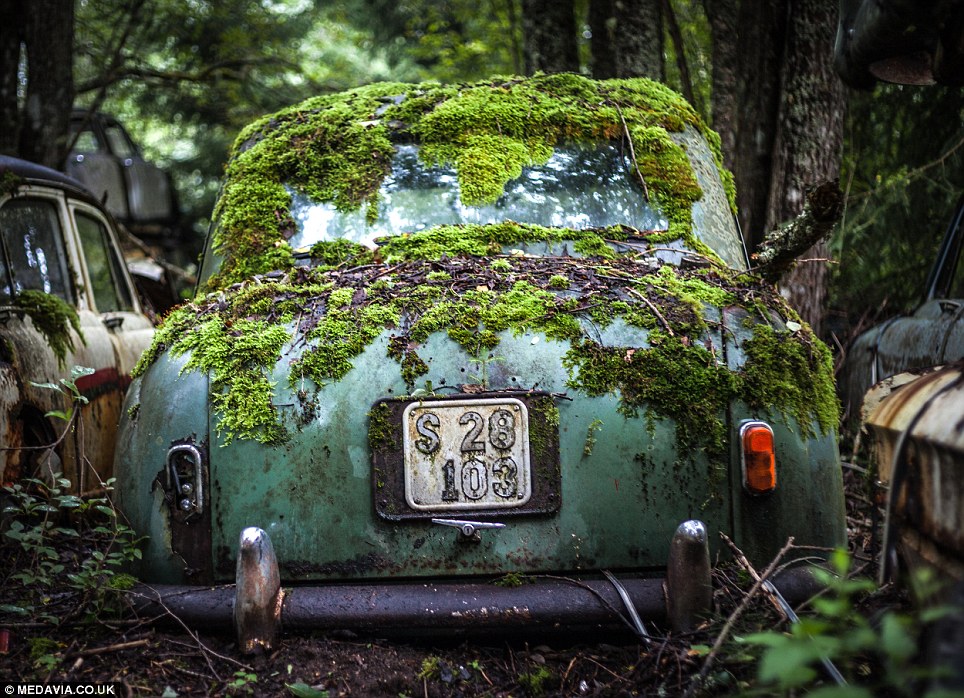 Carros abandonados em floresta em Bastnas, Suécia