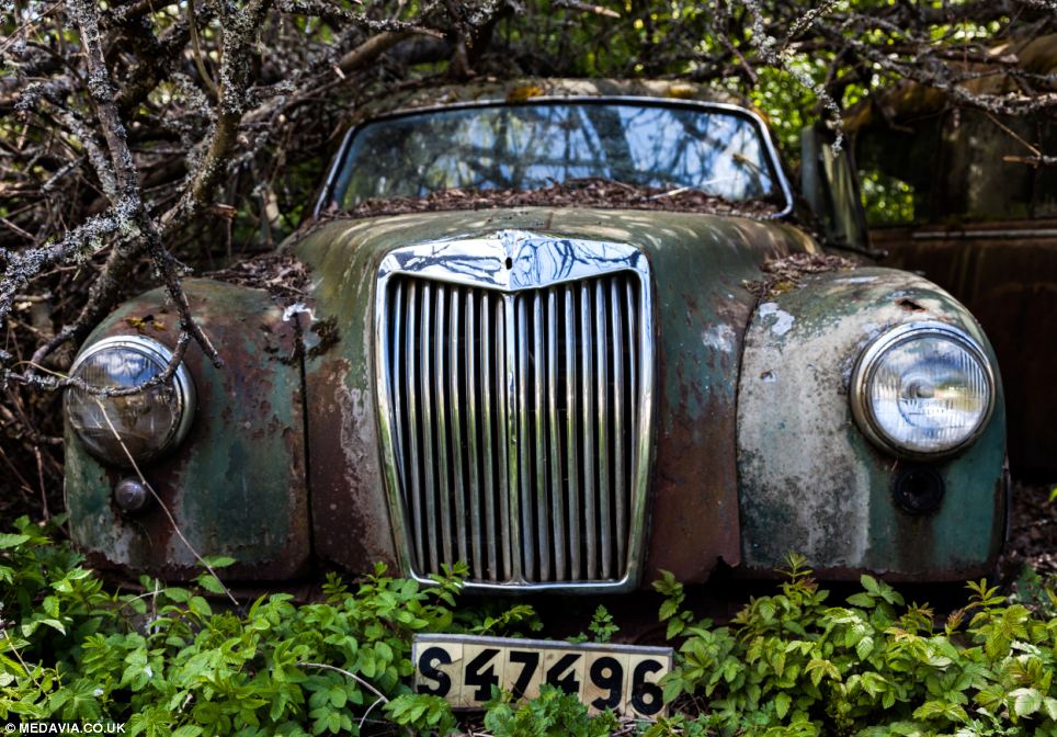 Carros abandonados em floresta em Bastnas, Suécia