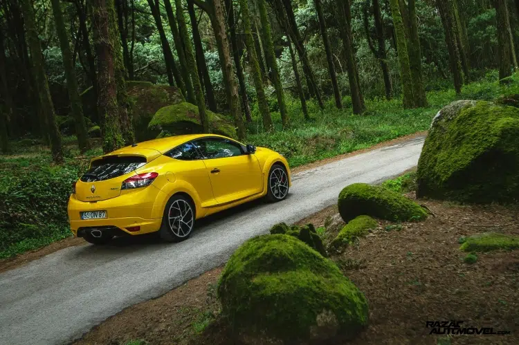 Megane 03