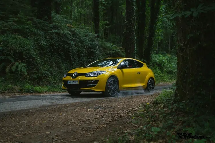 Megane 06
