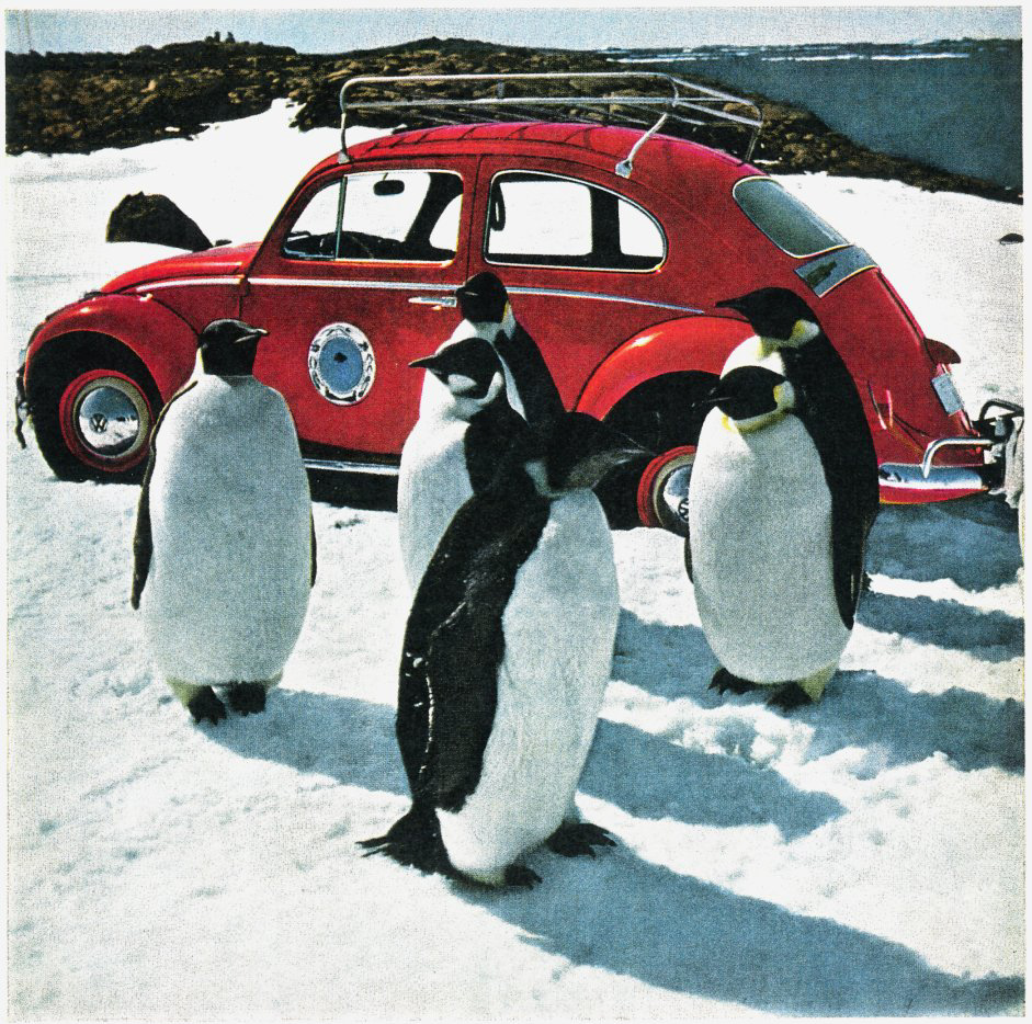 Volkswagen Carocha Antarctica