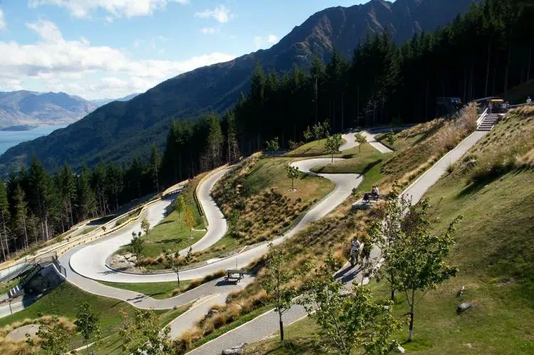 luge run nova zelandia carrinhos rolamentos 1