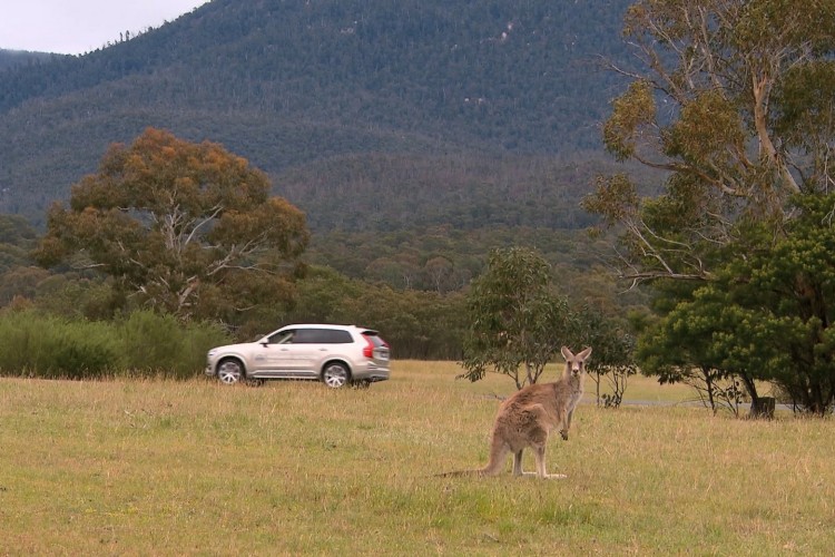 Volvo Kangaroo 1