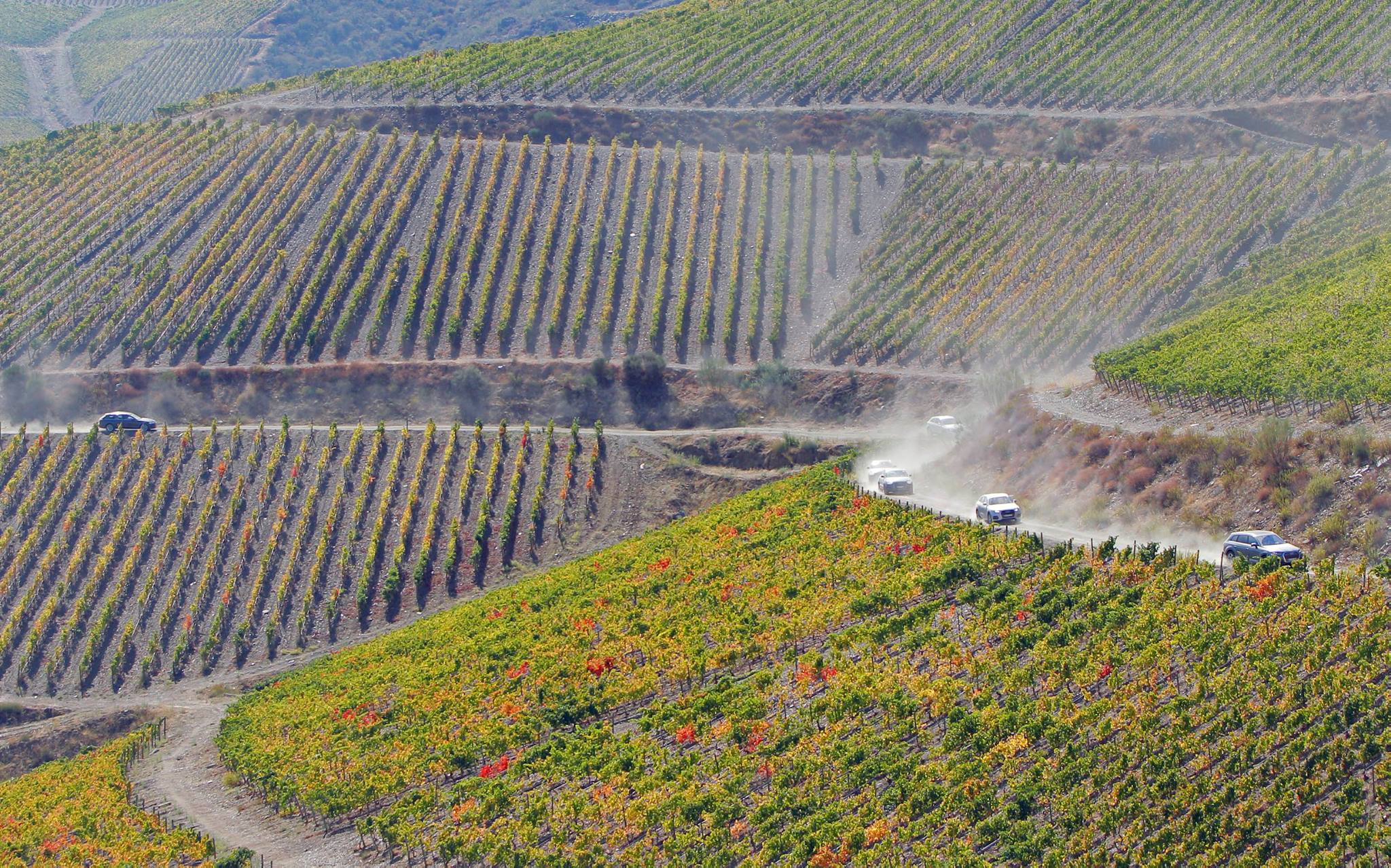 Audi quattro Offroad Experience - Douro