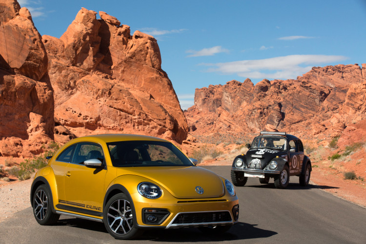 Beetle Dune (5)