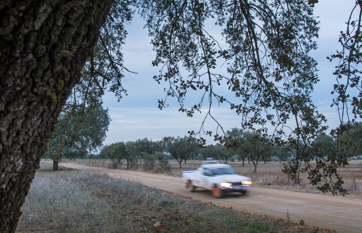 Peugeot 504 Fronteira