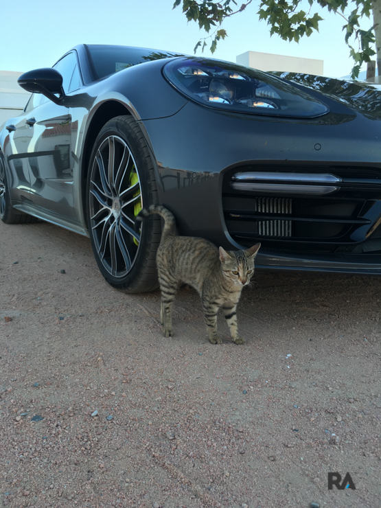 Porsche Panamera Turbo S E-Hybrid