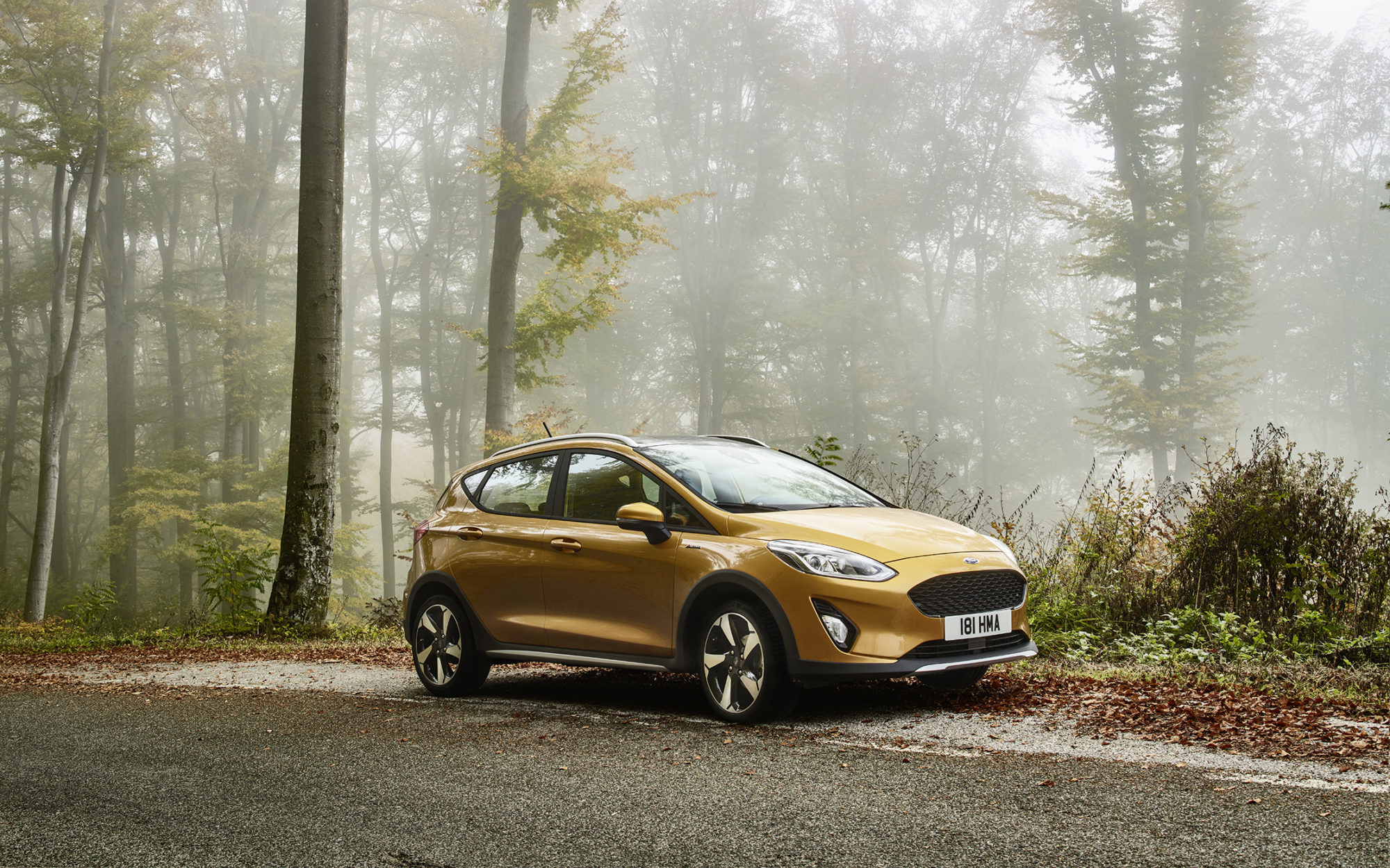 Ford Fiesta Active