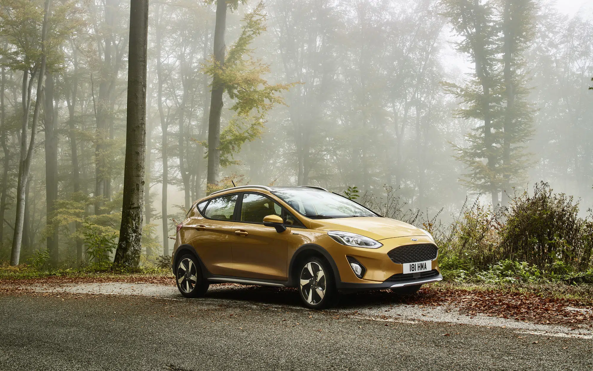 Ford Fiesta Active