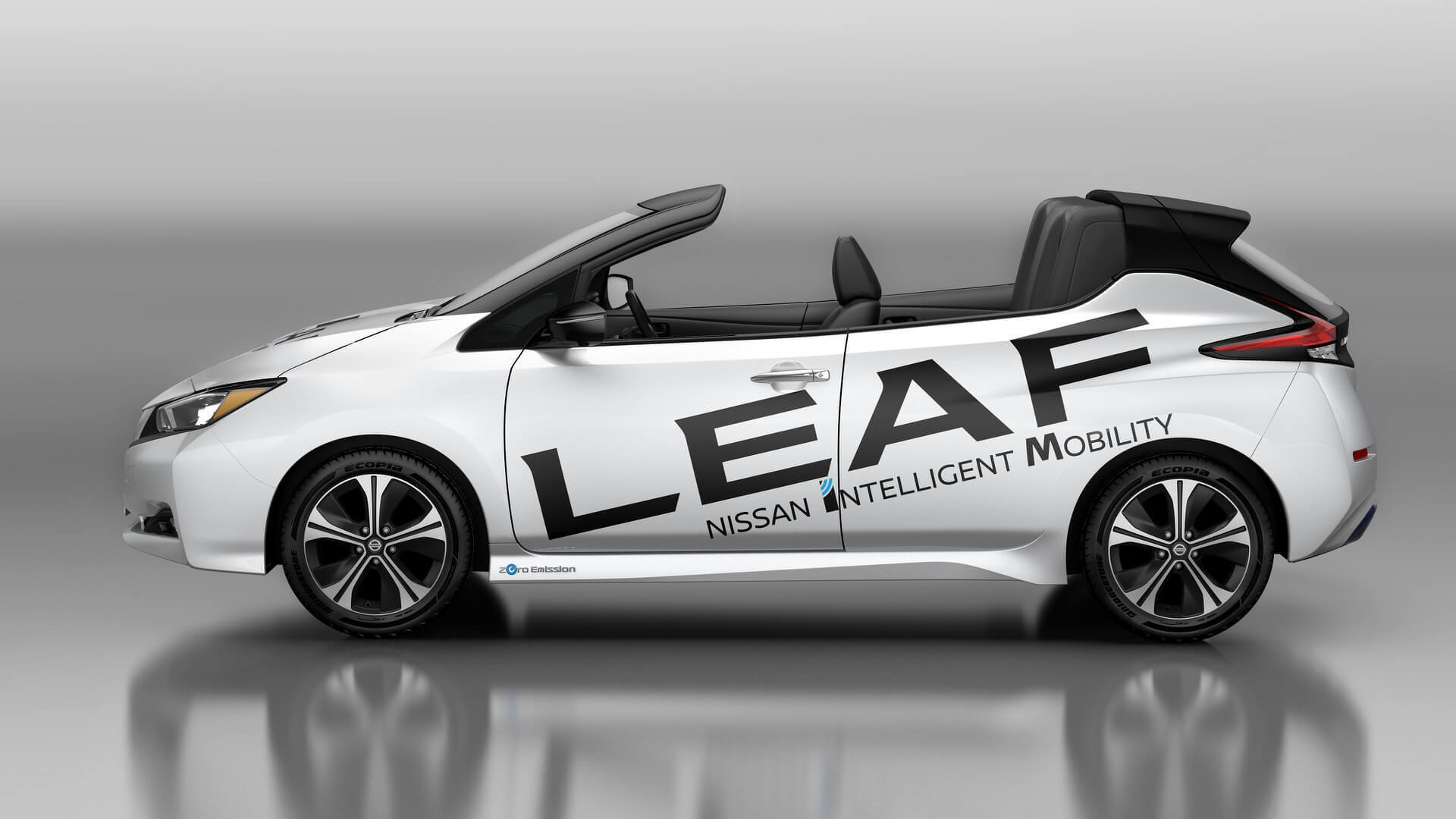 Nissan Leaf Open Car 2018