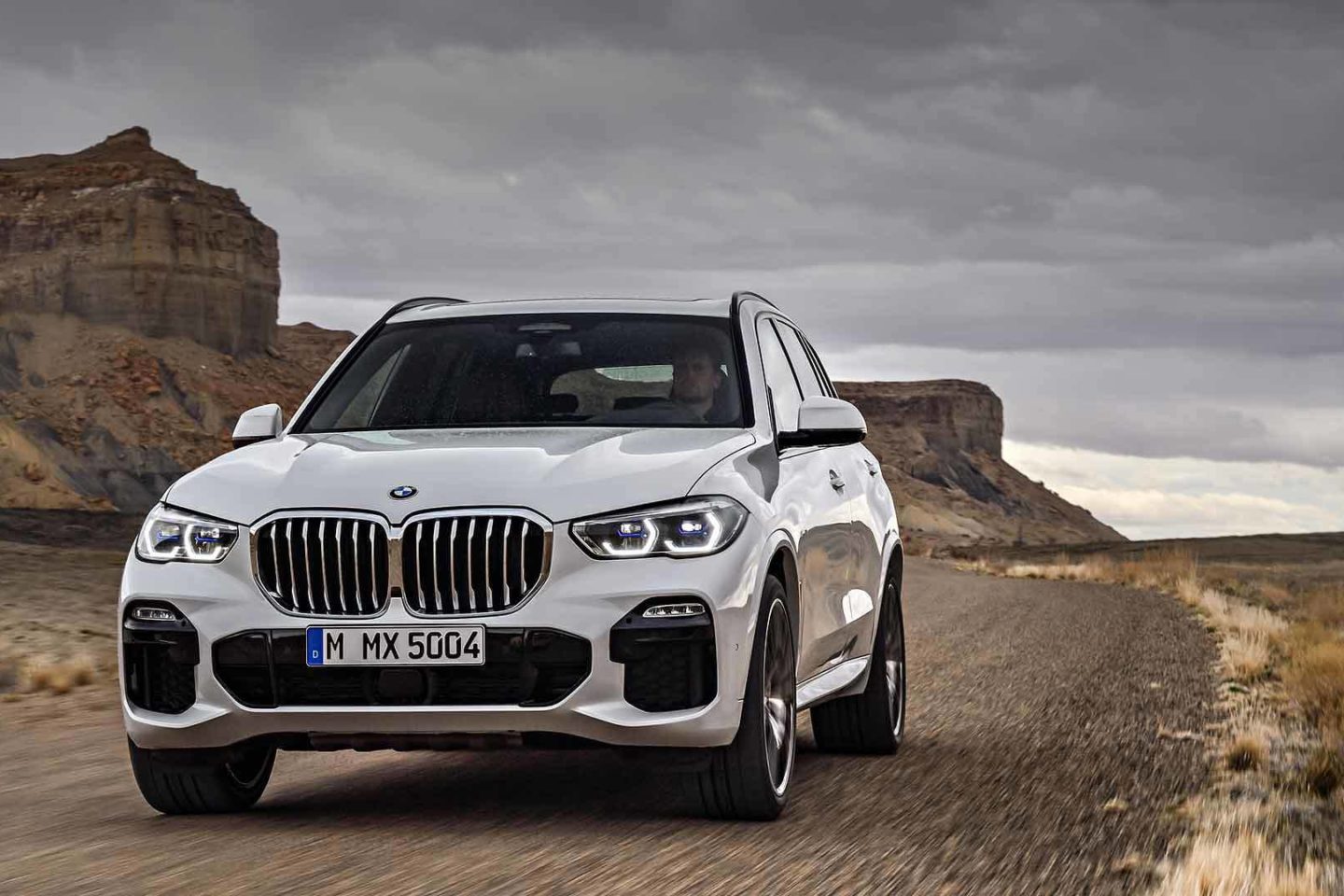 BMW X5 2018