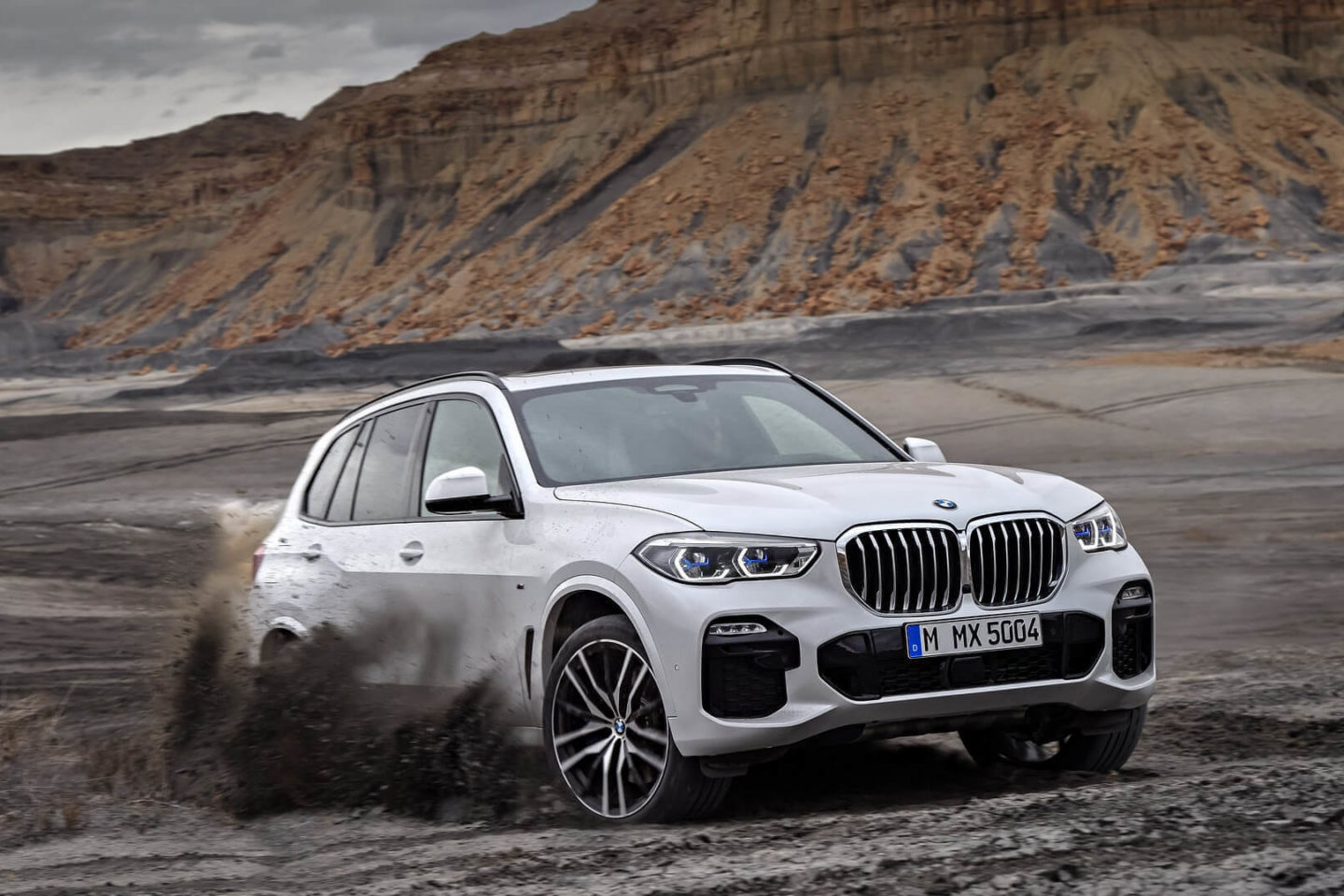 BMW X5 2018