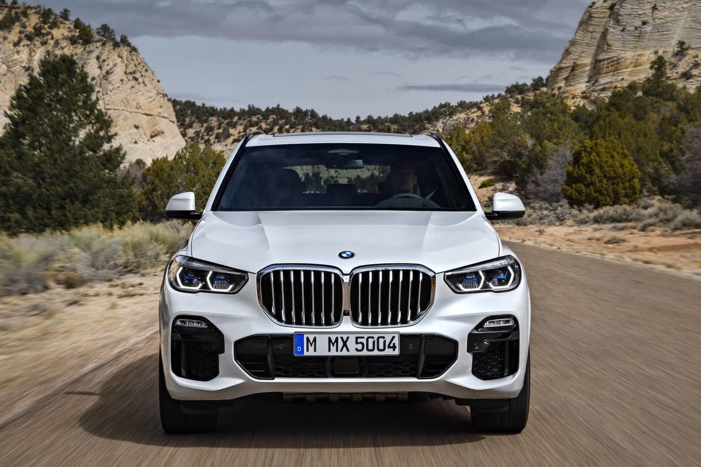 BMW X5 2018