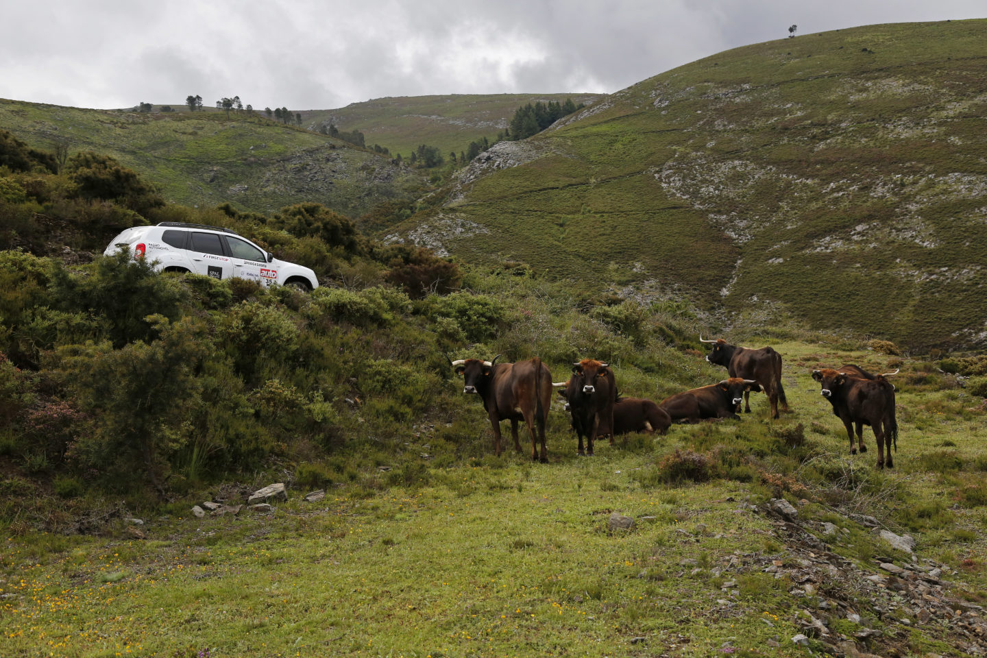 Aventura Dacia