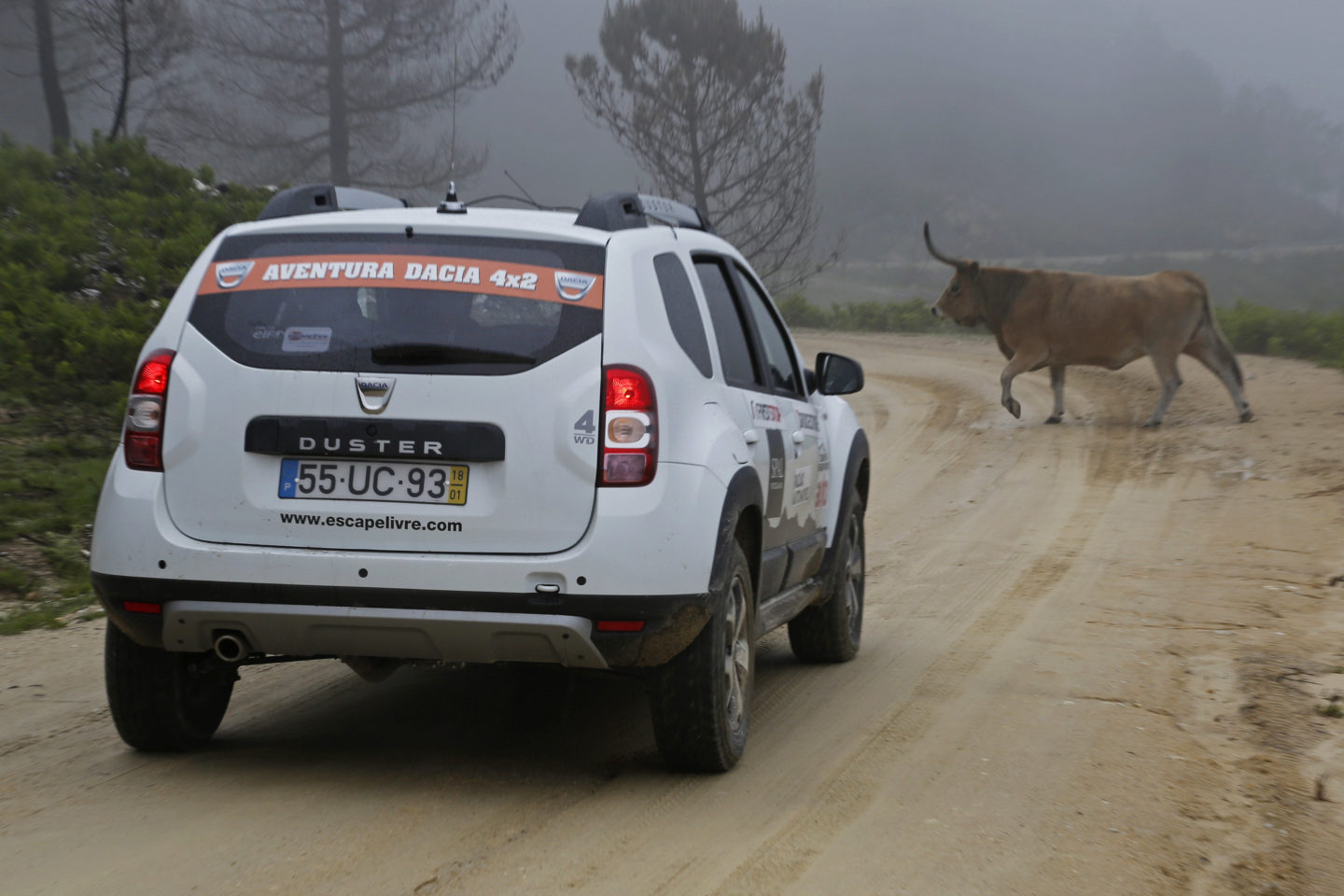 Aventura Dacia