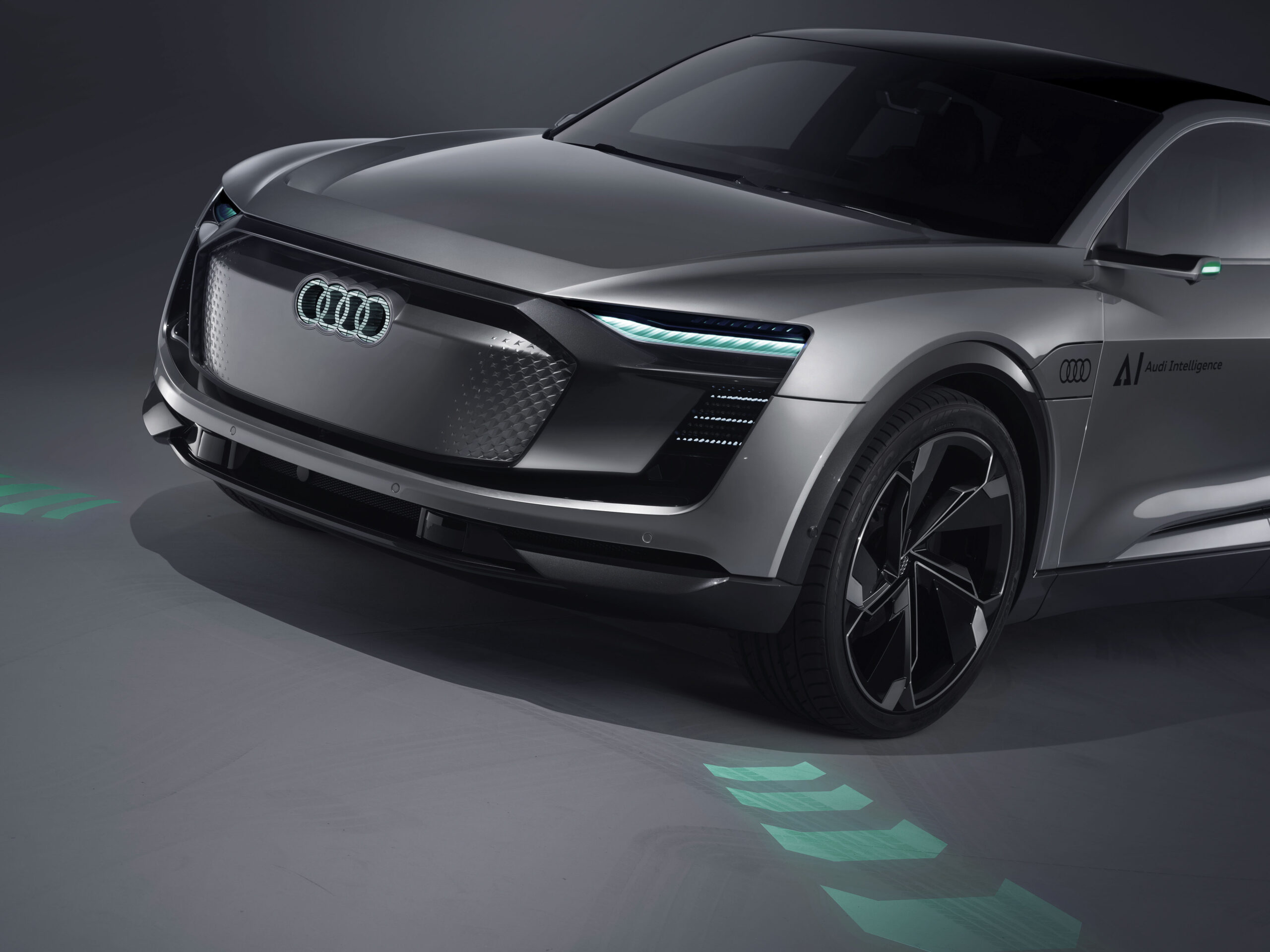 audi elaine