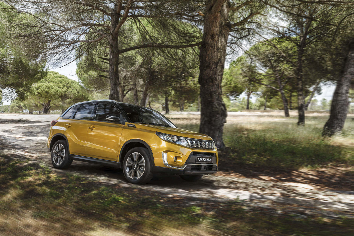 Suzuki Vitara MY2019