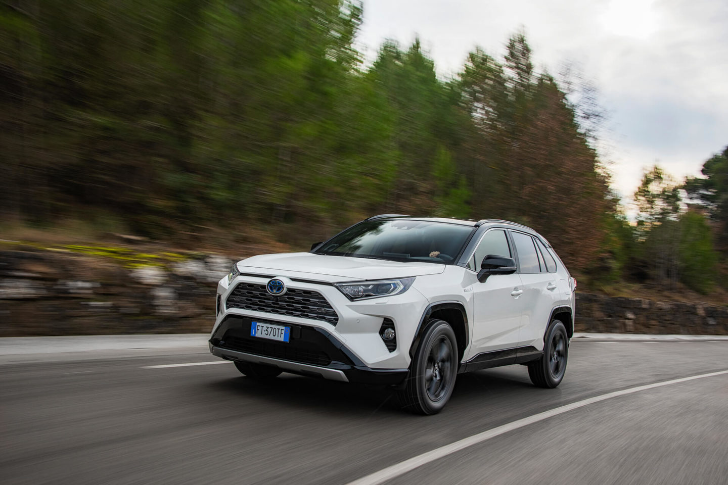 Toyota RAV4 2019