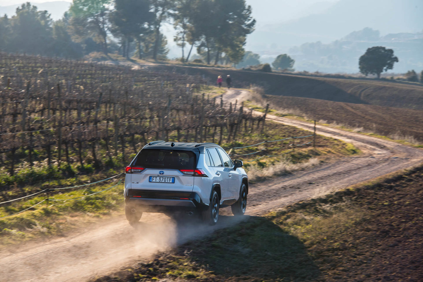 Toyota RAV4 2019