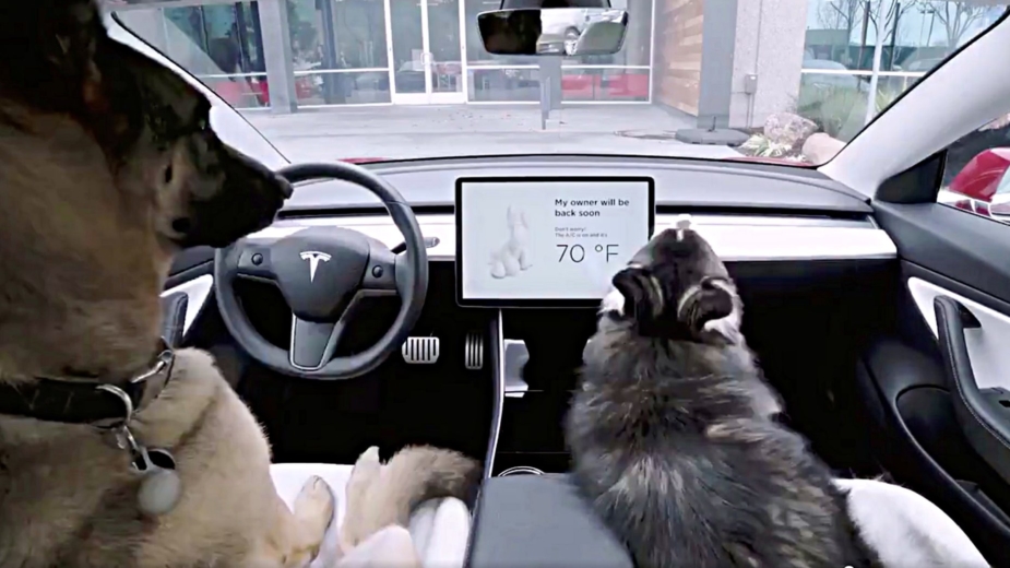 Tesla dog mode