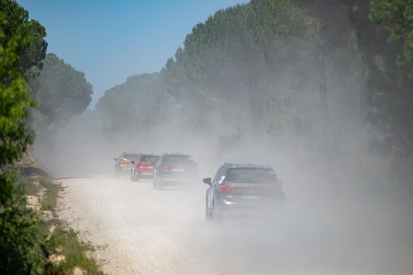 Off Road Razão Automóvel 2019