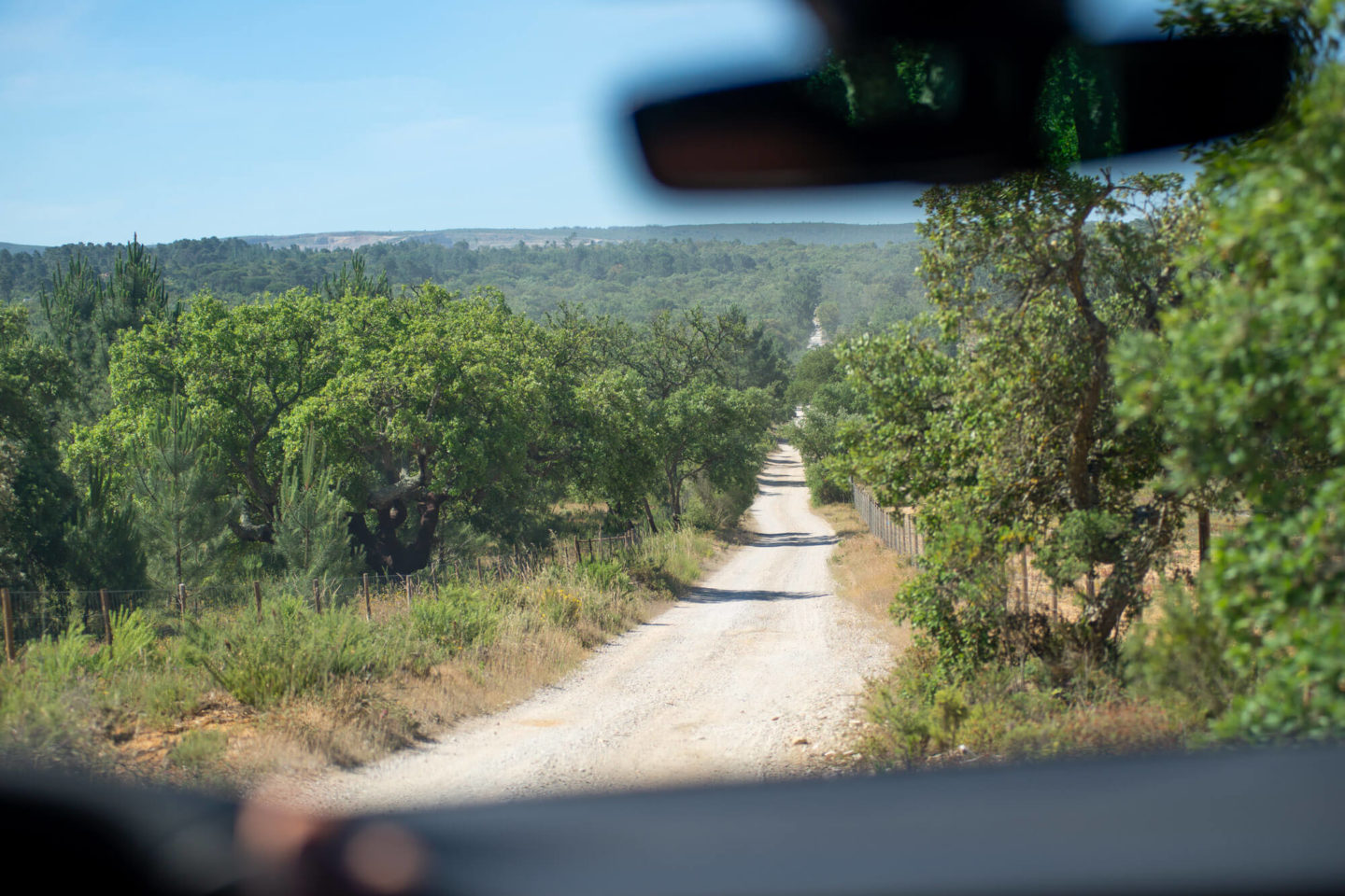 Off Road Razão Automóvel 2019