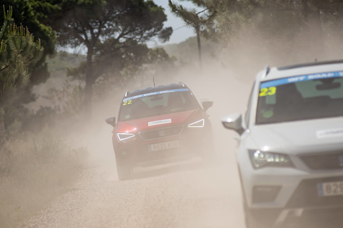 Off Road Razão Automóvel 2019