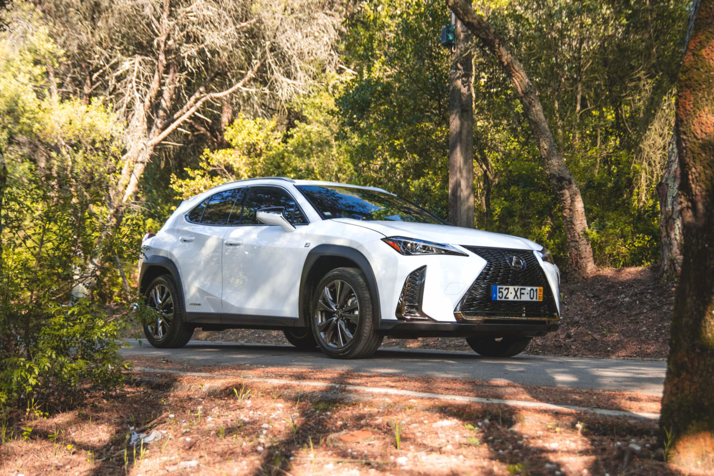 Lexus UX250h