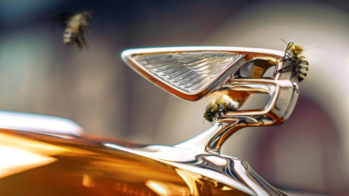 Bentley Flying Bees