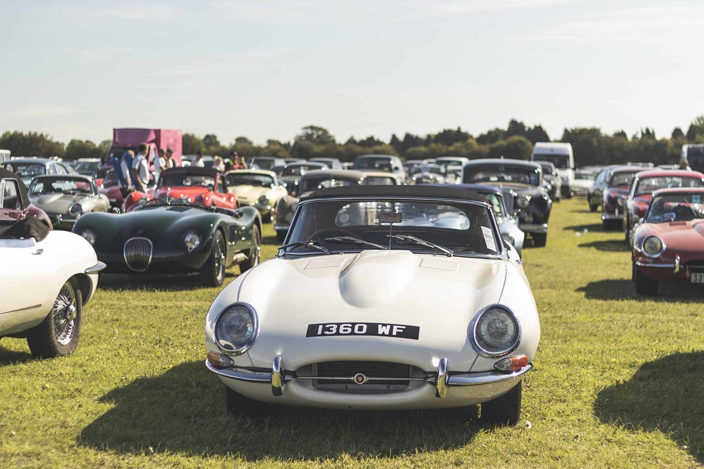 Goodwood Revival 2019