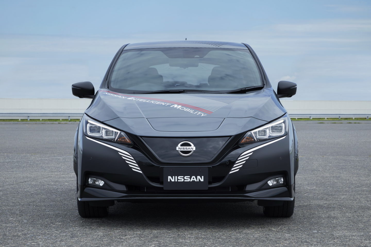 Nissan Leaf twin motor