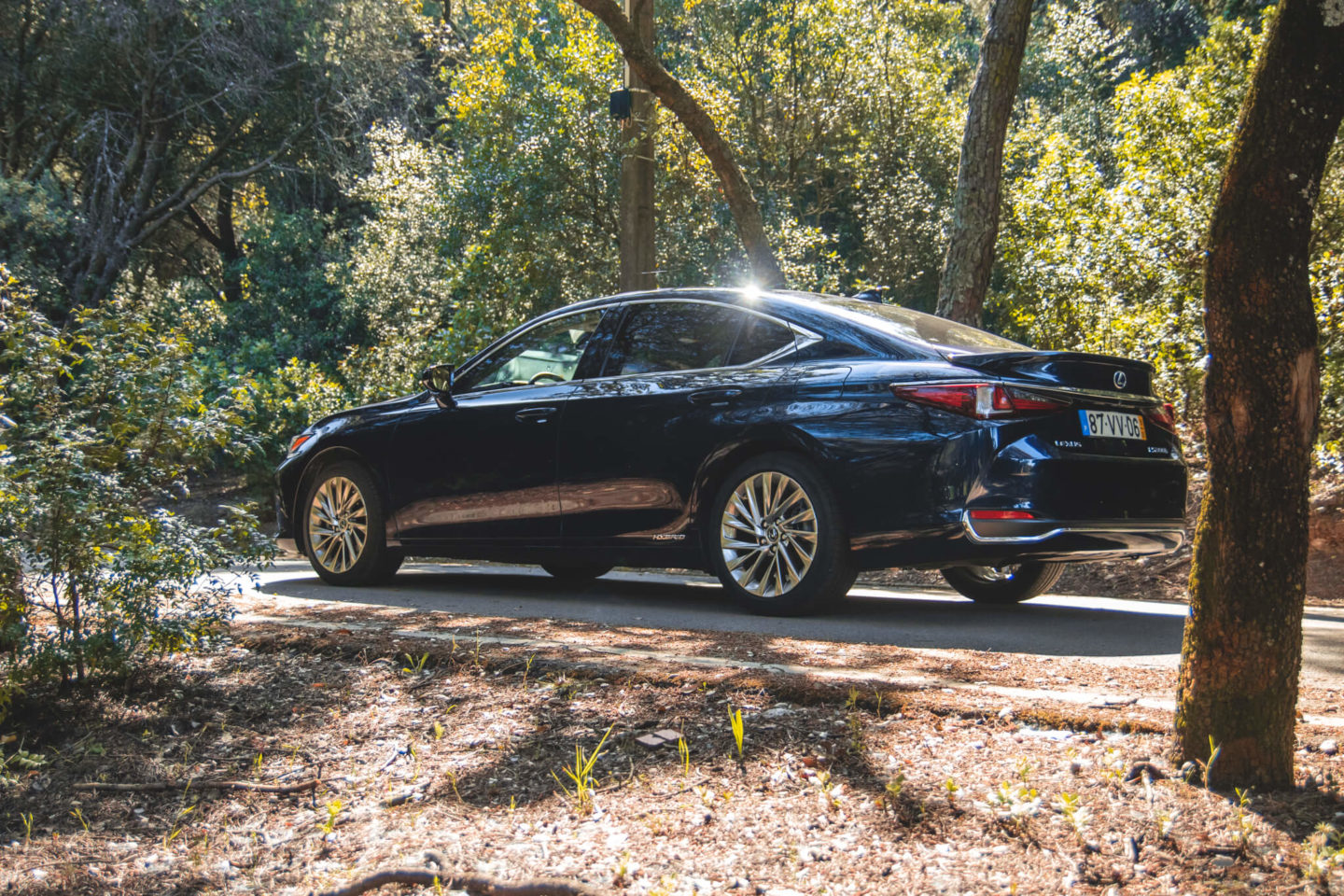 Lexus ES 300h