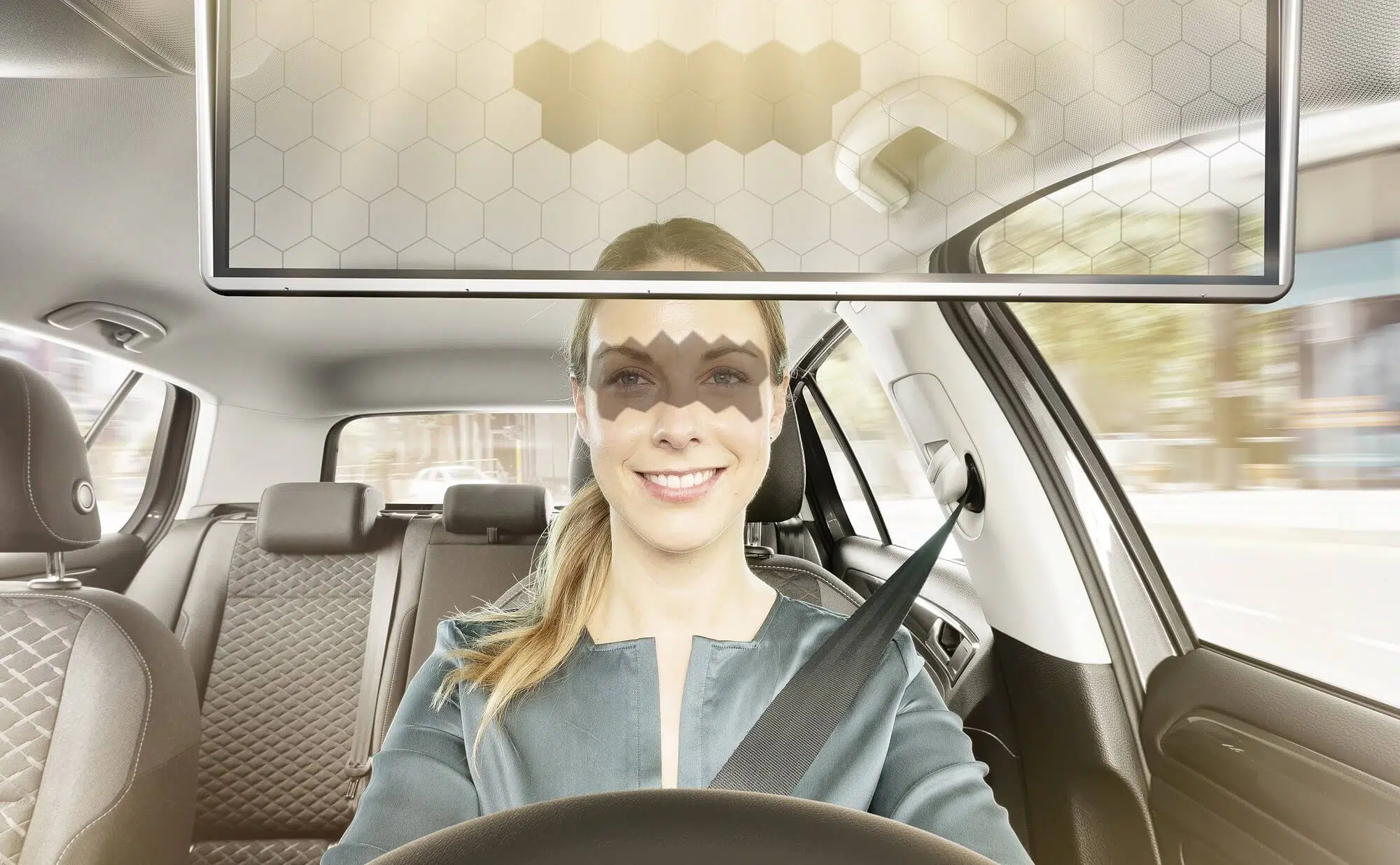 Virtual Visor