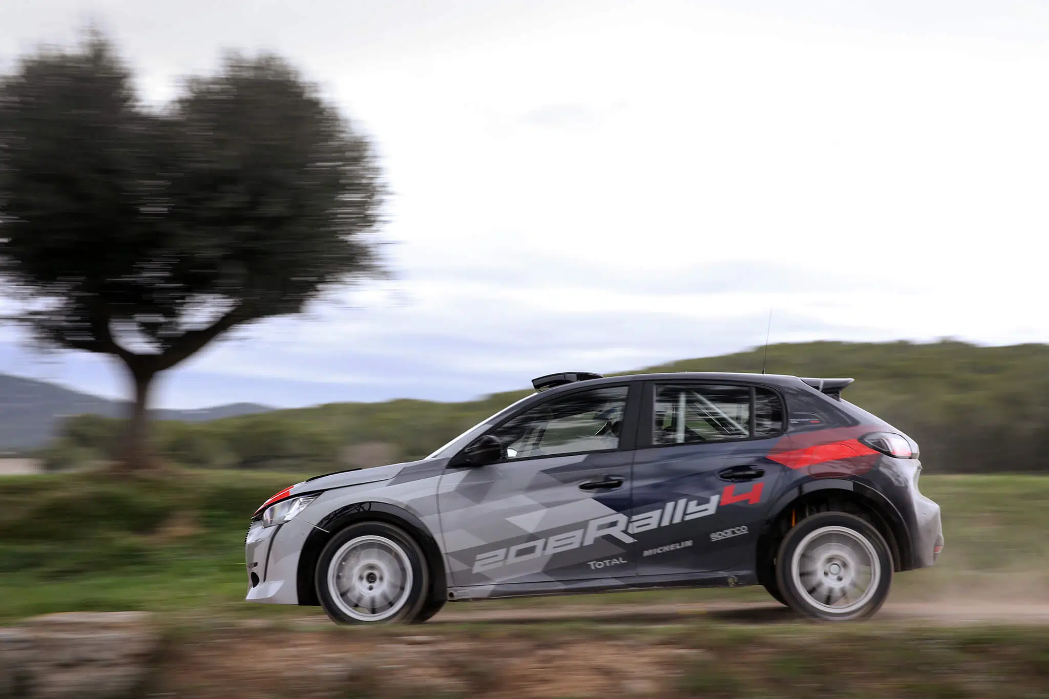 Peugeot 208 R4
