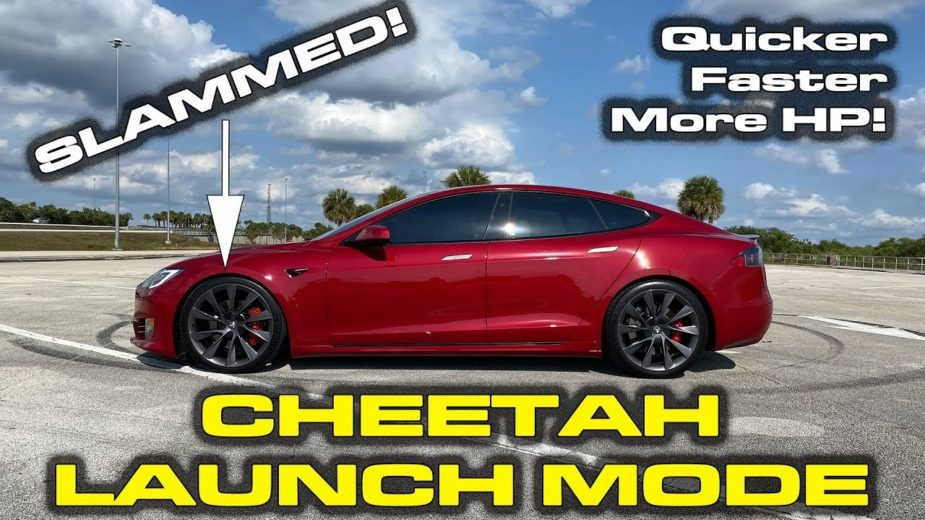 Tesla Model S Performance Cheetah Stance