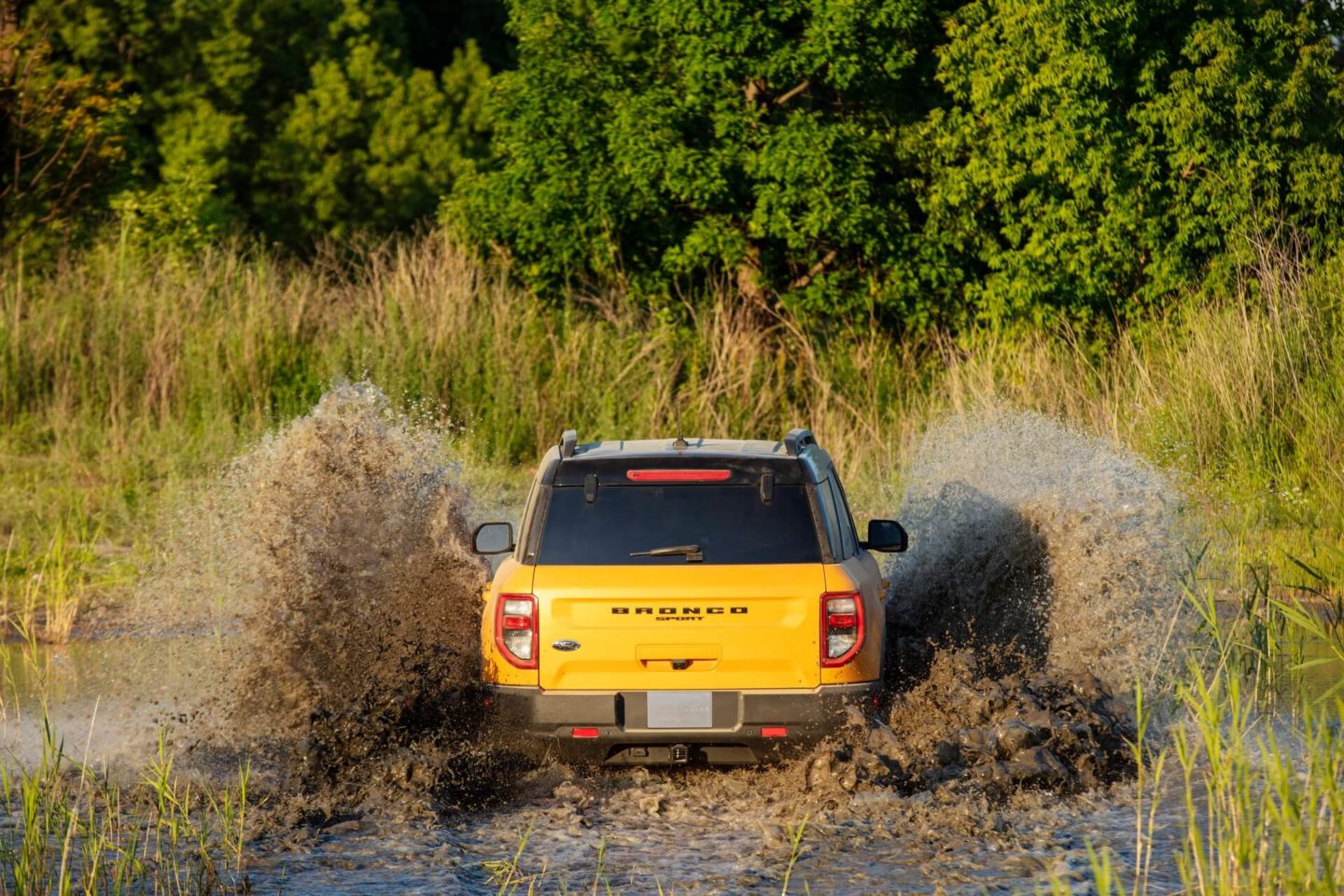 Ford Bronco Sport