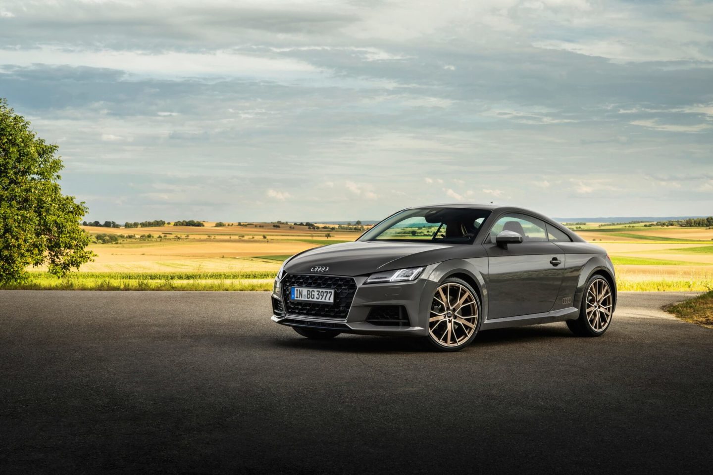 Audi TT Bronze Selection