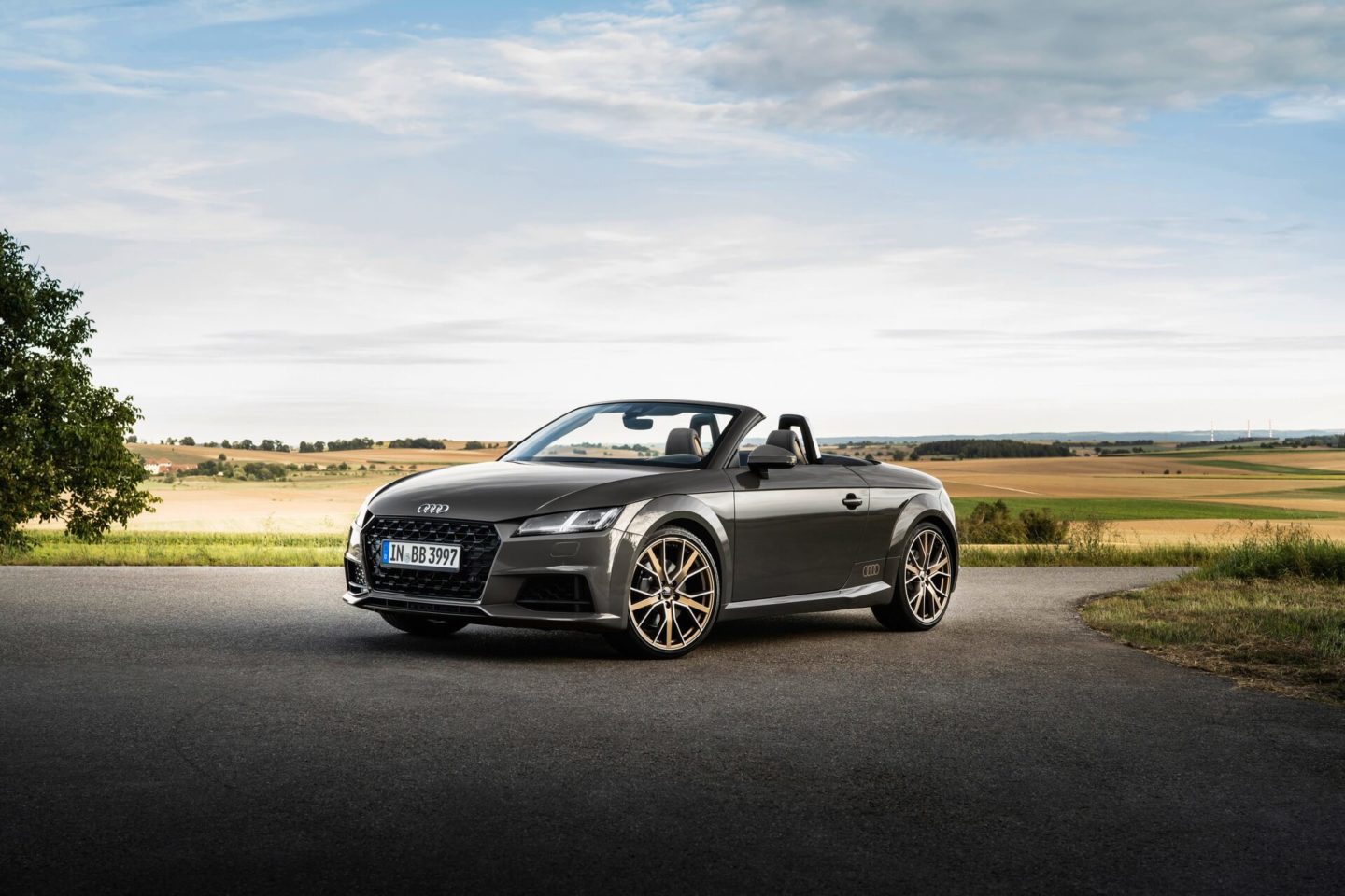 Audi TT Bronze Selection