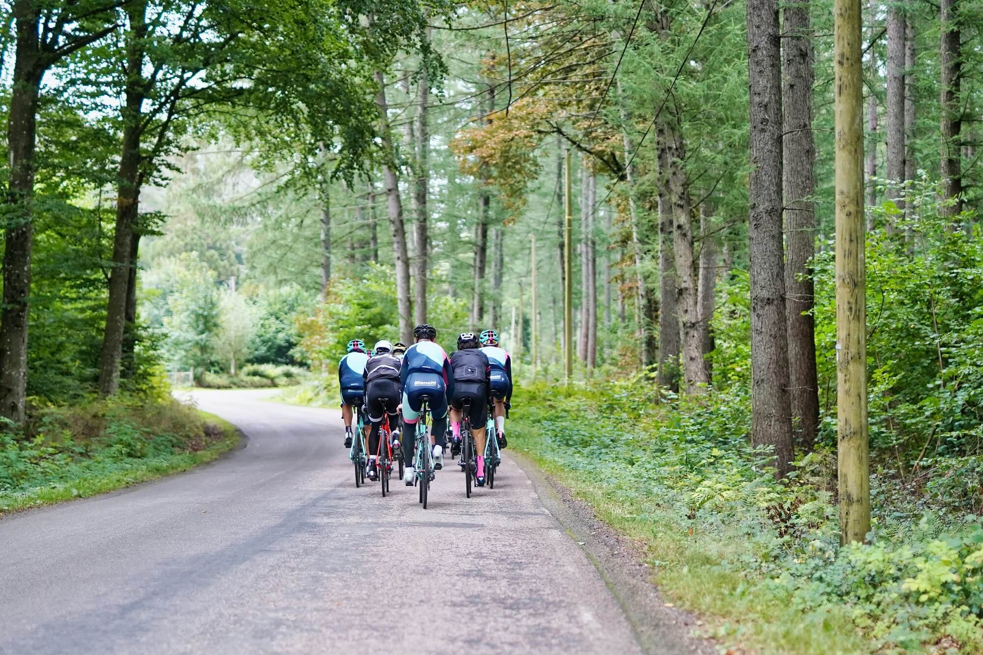 Ciclistas na estrada