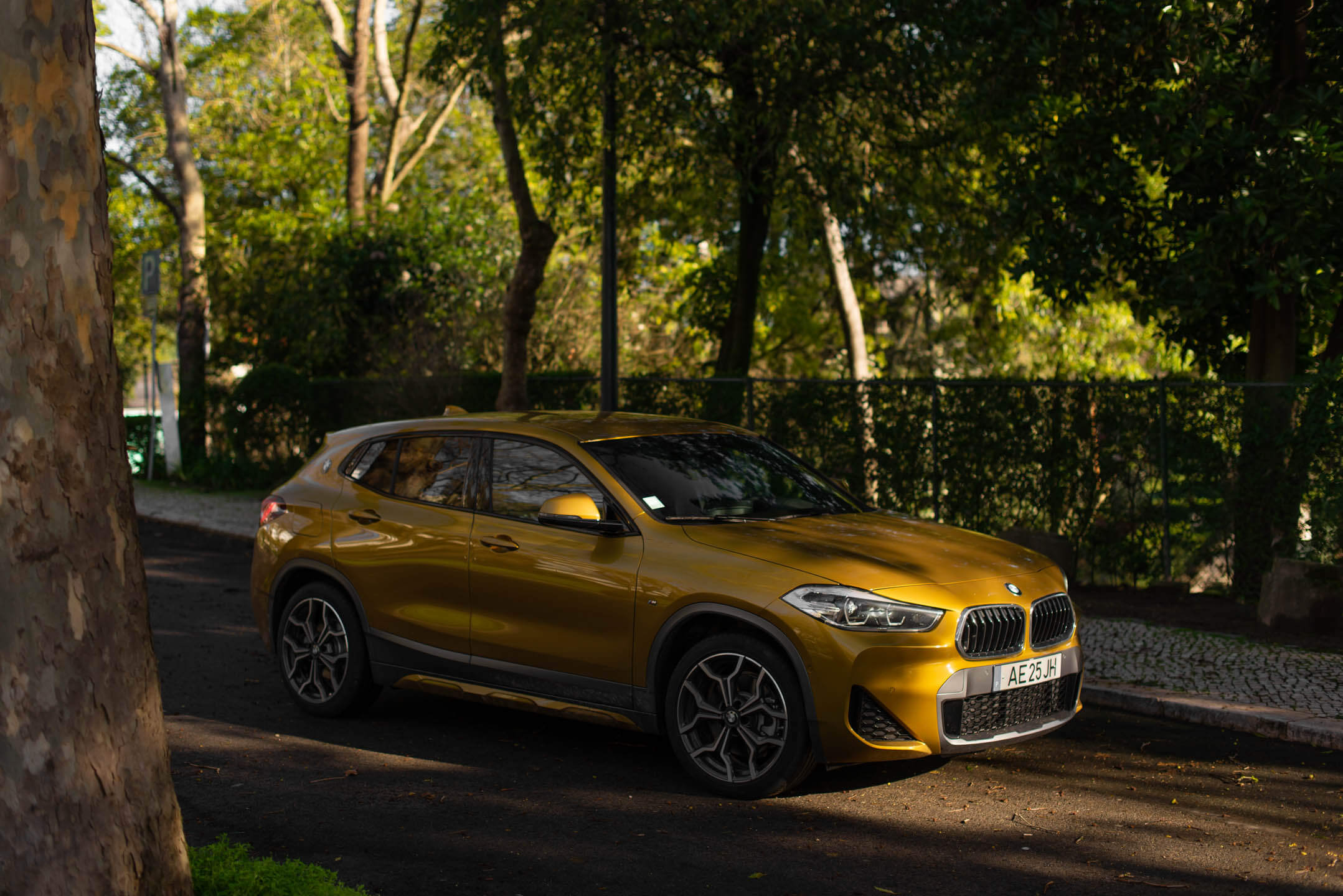 BMW X2 PHEV