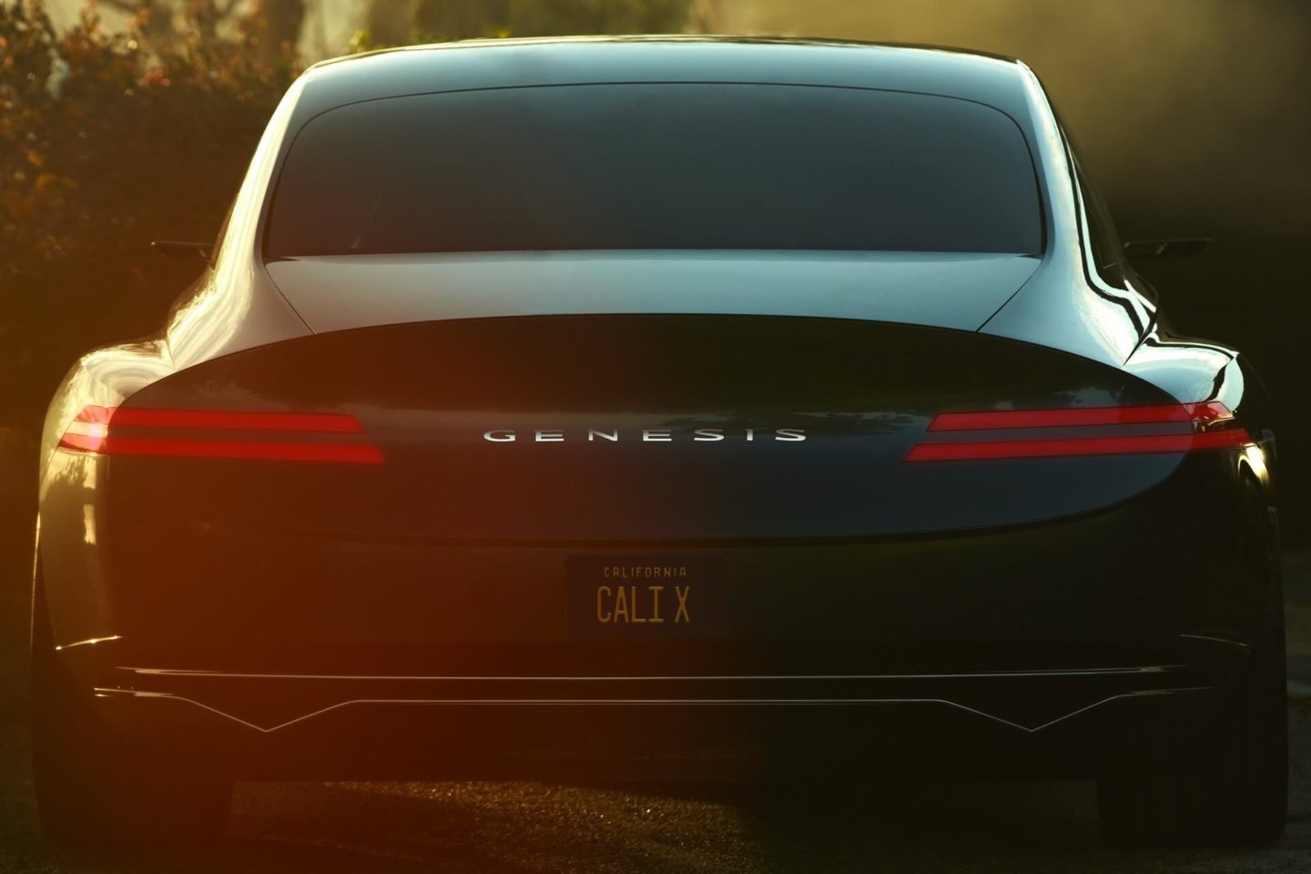 Genesis X Concept