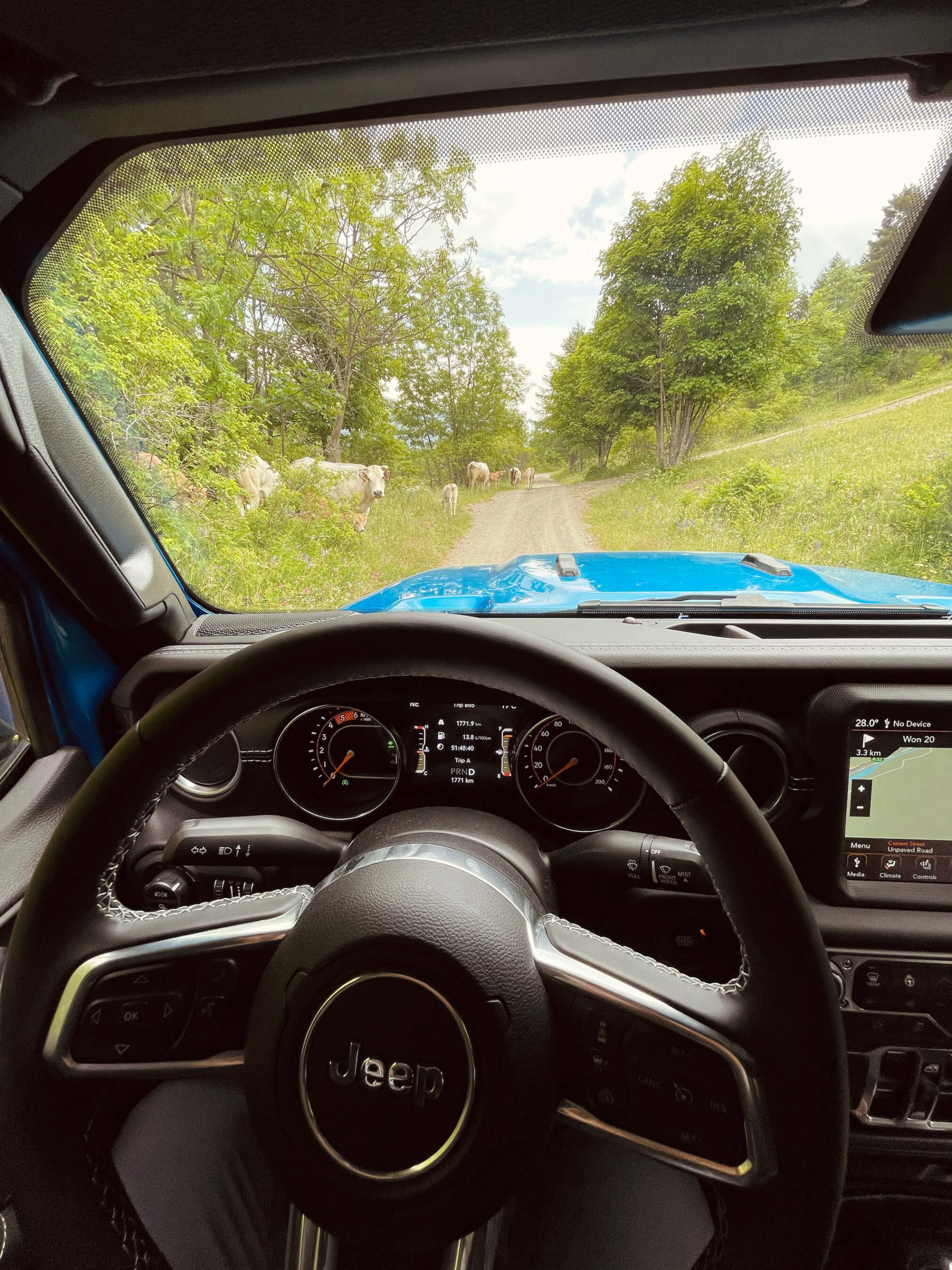 Jeep ao volante interior