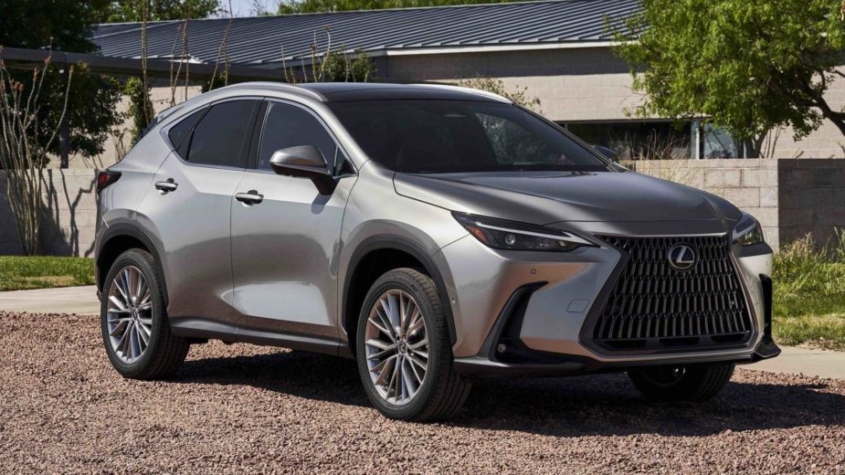 Novo Lexus NX 2022