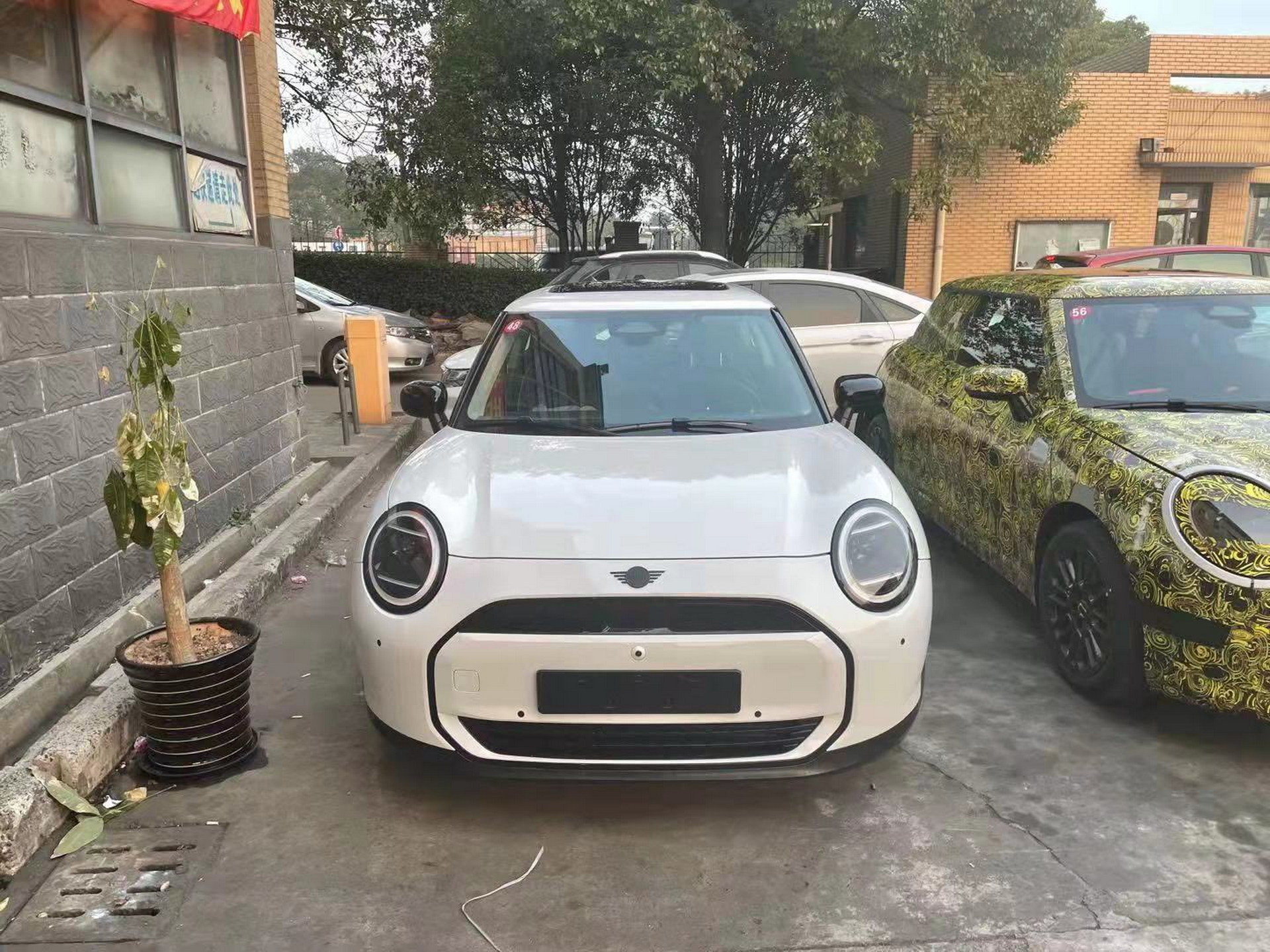 Frente novo Mini