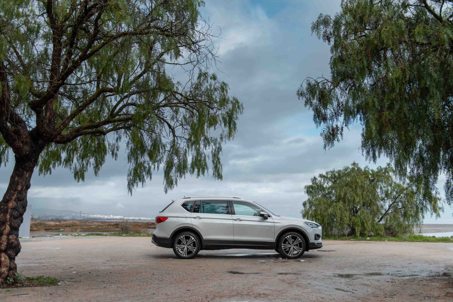 Seat Tarraco E-Hybrid perfil